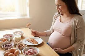 Ibu hamil makan protein